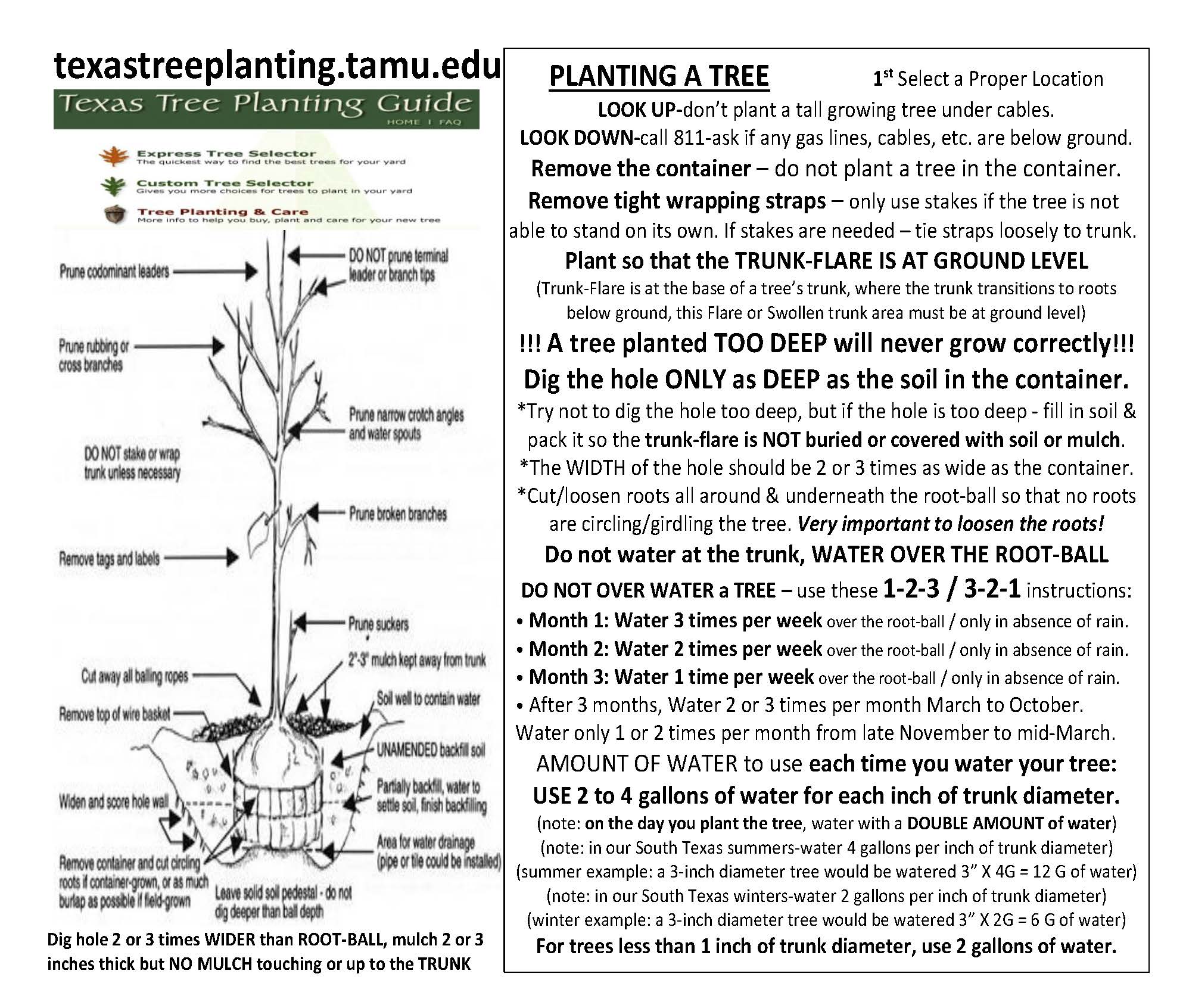 how to plant (1)