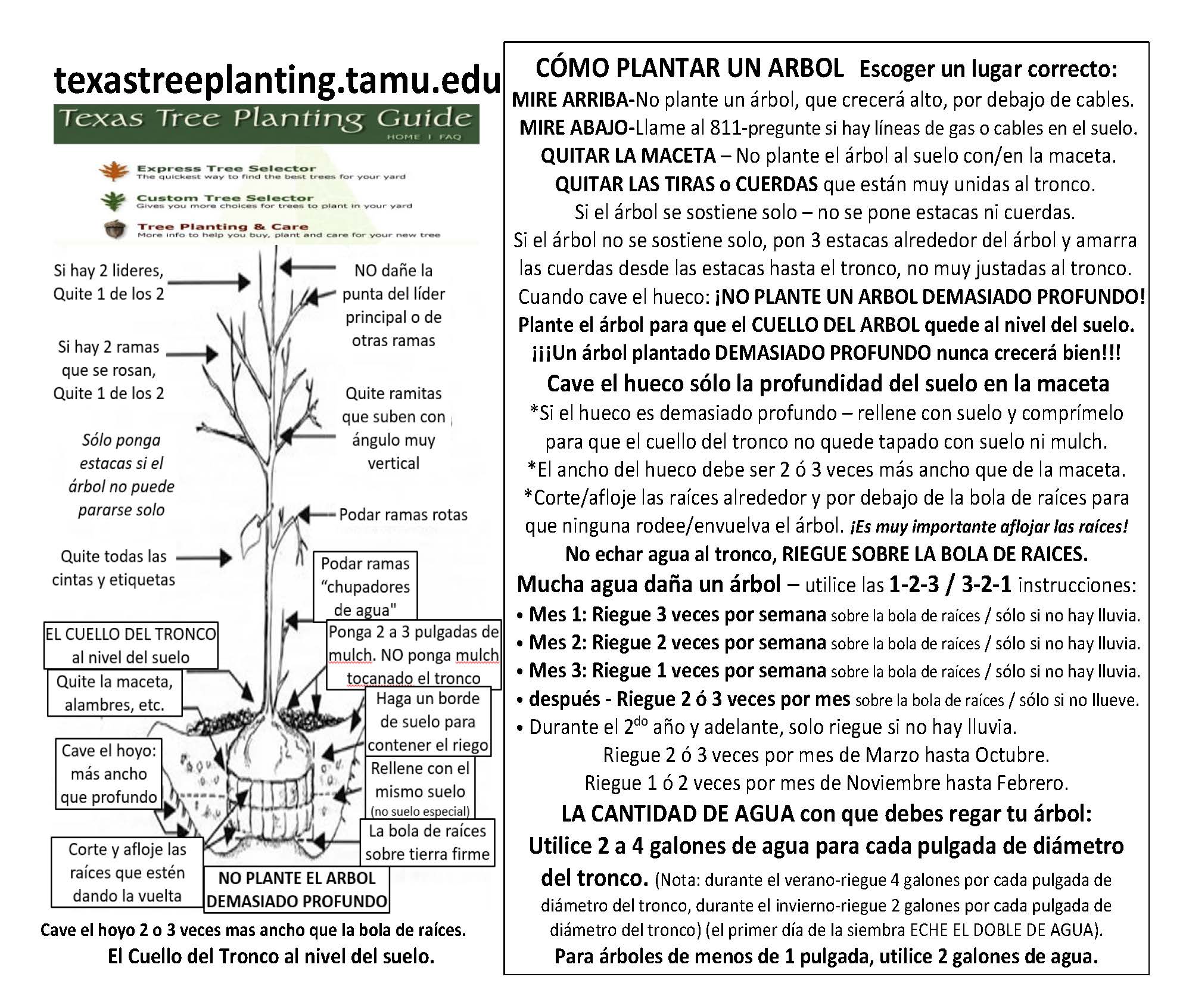 how to plant (2)